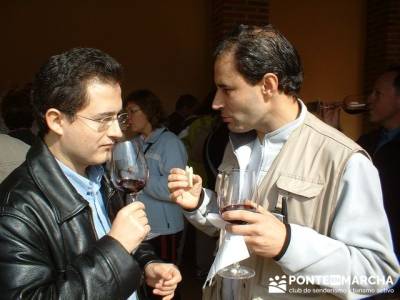 Degustación de vino - Viaje enológica a Ribera del Duero; sitios para visitar en la comunidad de m